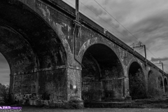 _DSC2497