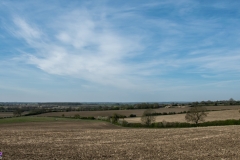 _DSC2181