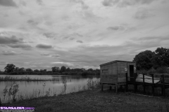 _DSC2524-2
