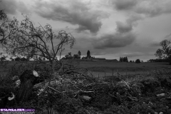 _DSC2610