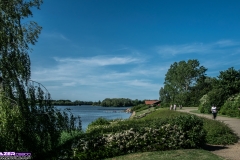 _DSC2805