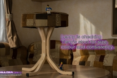 Stool
