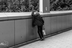 _DSC3331