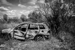 _DSC3118