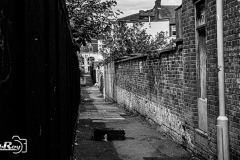 _DSC3317