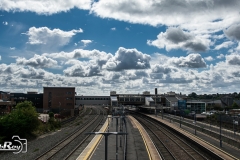 _DSC3379