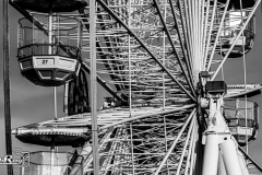 _DSC4025