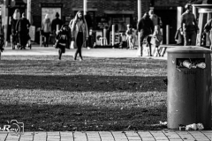 _DSC4157